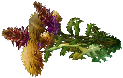 "Monster - Item, Flowers - Boquet Wildflowers"