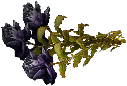 "Monster - Item, Flowers - Boquet Roses (Black)"