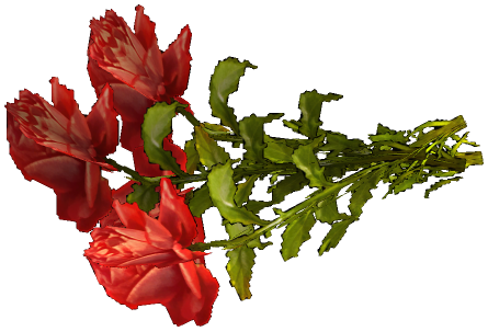 Monster - Item, Bouquet - Roses