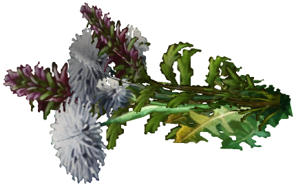 "Monster - Item, Bouquet - White & Purple"