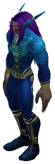Elder Farwhisper