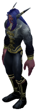 Elder Nightwind