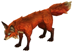 Red Fox