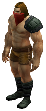 Defias Robber