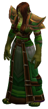 Spirit Guide Tohnizte
