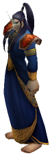 Arcanist Cerulon