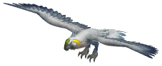 Beaky